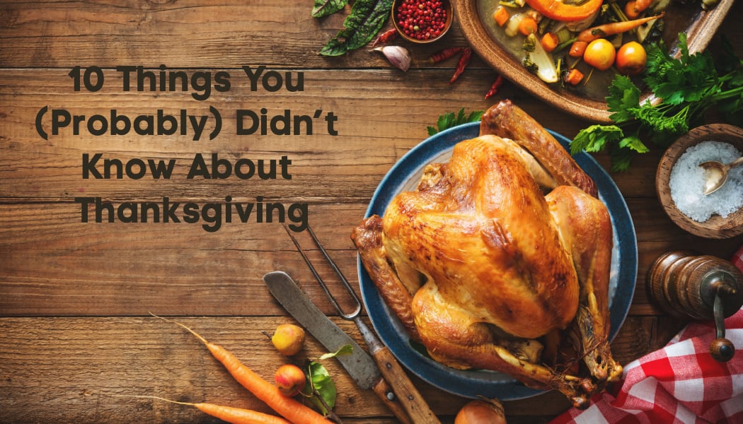 Fun facts and figures about Thanksgiving from SiteSeer!